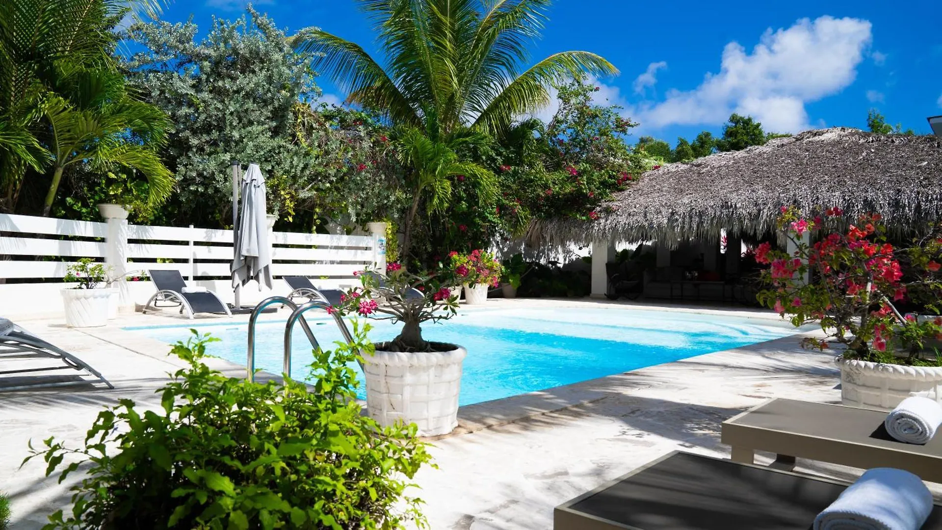 Boutique Hotel Las Flores Punta Cana Dominikánská republika