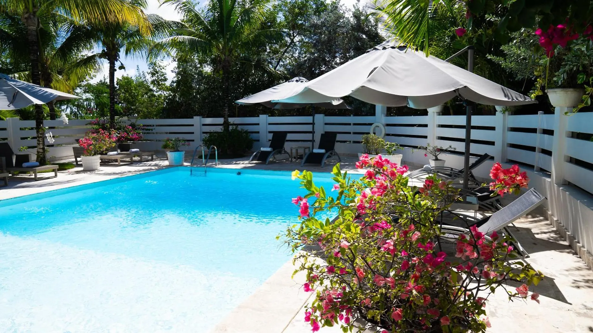 Boutique Hotel Las Flores Punta Cana