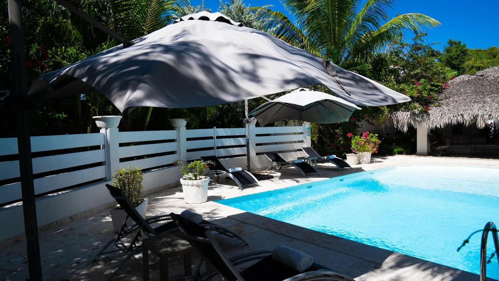Boutique Hotel Las Flores Punta Cana Dominikanische Republik